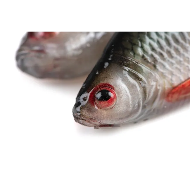 Swimbait Fox Rage Ulta Realistic Replicant, Ultra Natural Roach, 1buc/pac