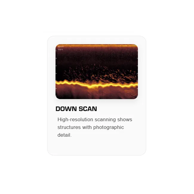 Sonar de Pescuit Accuphy PingLive Mini