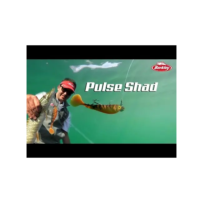 Set Shaduri BERKLEY Powerbait Pulse, Sparkle Pearl, 6cm, 8buc/plic