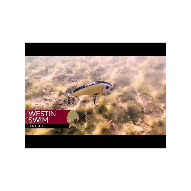 Vobler WESTIN Swim Glidebait, Suspending, 3D Water, 6.5cm, 9g