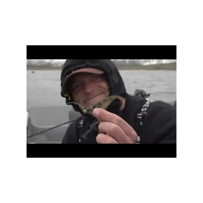 Shad WESTIN Shadteez Slim, Lively Roach, 7.5cm, 3g, 4buc/plic