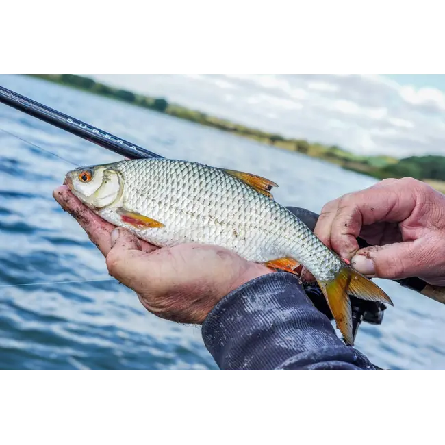 Lanseta Preston Carbonactive Supera Float 13ft, 3.96m, 6-18g, 3buc