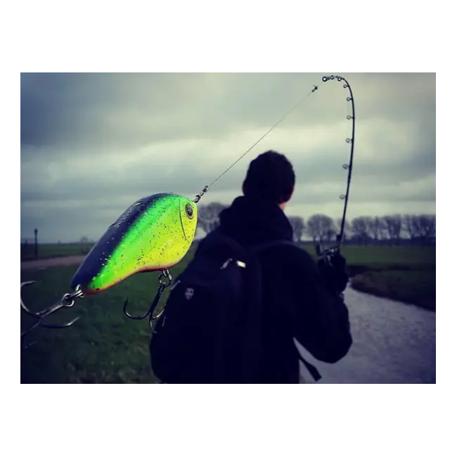 Vobler WESTIN Swim Glidebait, Suspending, Bling Perch, 6.5cm, 9g