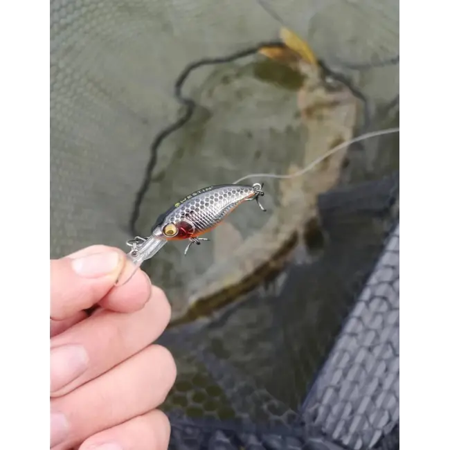 Vobler WESTIN BuzzBite Crankbait, Floating, Bling Perch, 4cm, 4g