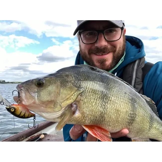 Vobler WESTIN BuzzBite Crankbait, Floating, Official Roach, 4cm, 4g