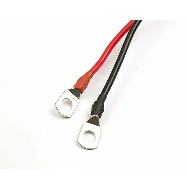 Motor Electric Barca Fox BL Engine, 80lbs, 12V