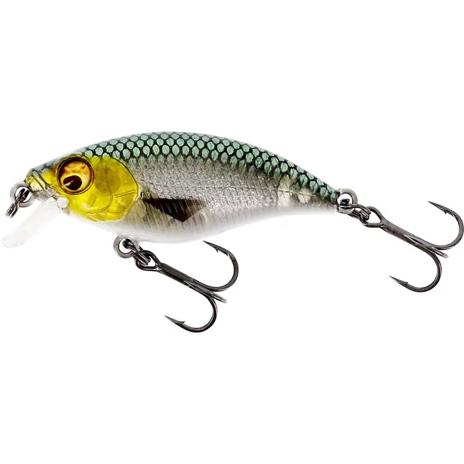 Vobler Westin BuzzBite SR Crankbait, Floating, Low Floating 3D Headlight, 5cm, 6g
