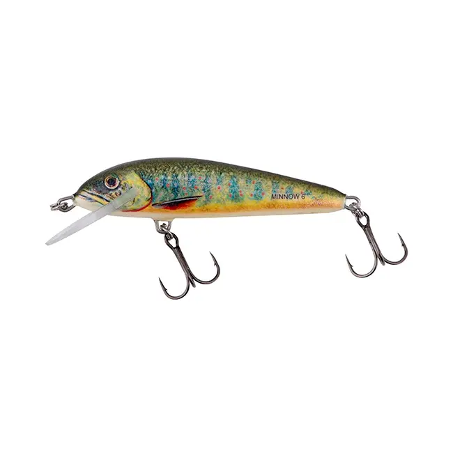 Vobler Salmo Minnow 6 Floating, 6cm 4g, Lake Charr