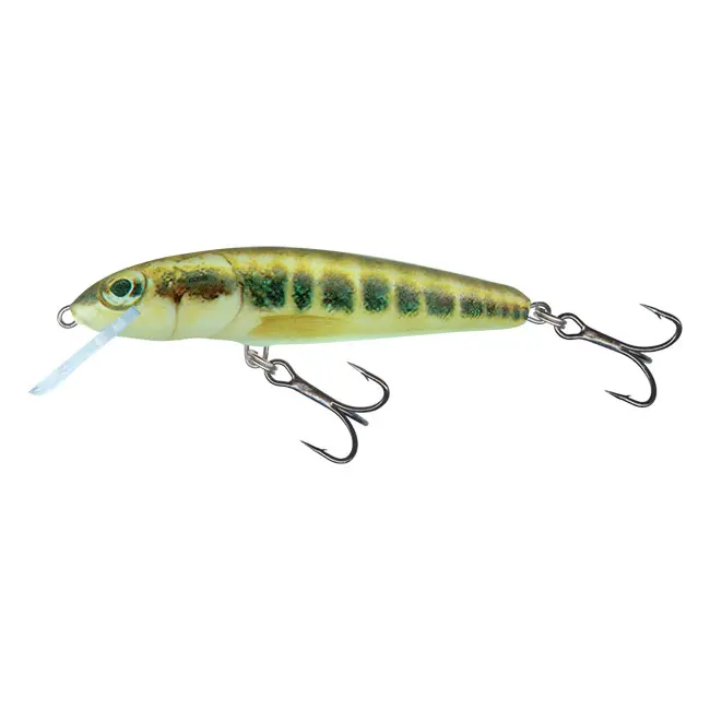 Vobler Salmo Minnow Floating, Minnow, 7cm, 6g