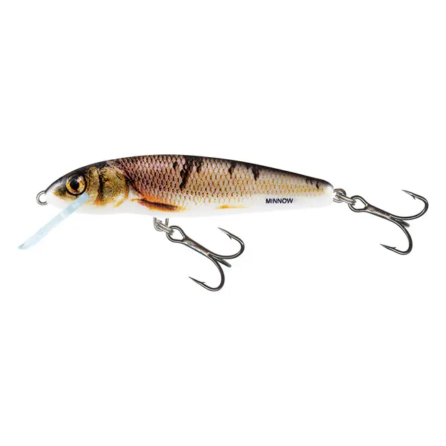Vobler Salmo Minnow Sinking, Wounded Dace, 7cm, 8g