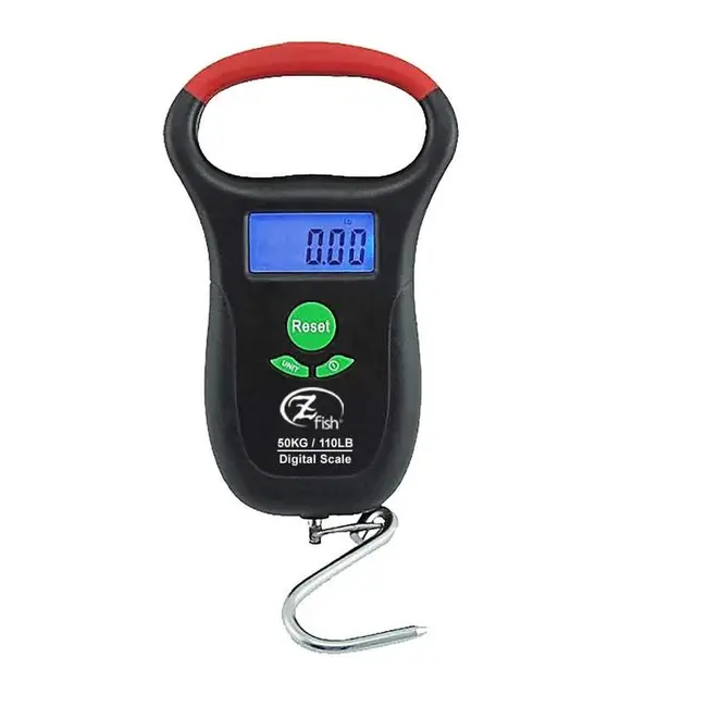 Cantar Digital Zfish Hand Digital Scale, 50kg