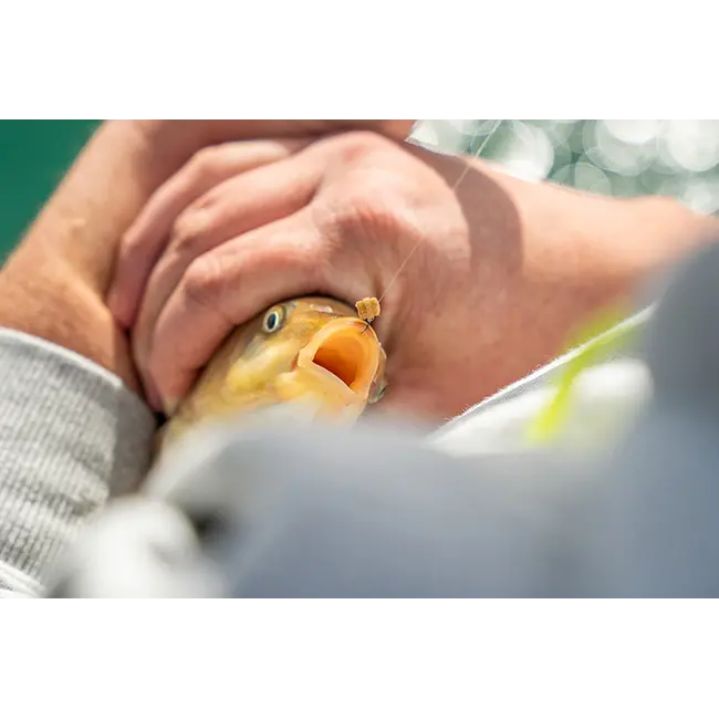 Inele Silicon Matrix Super Soft Bait Bands, Medium