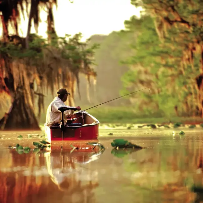 Motor Electric Barca Minn Kota Endura 55 - C2 ,12V