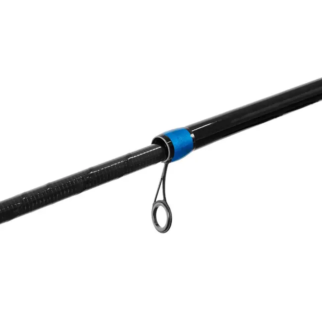 Lanseta Bologneza Delphin Xenox, 4.00m, 30g