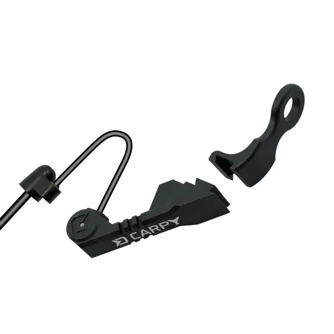 Swinger Delphin Carpy