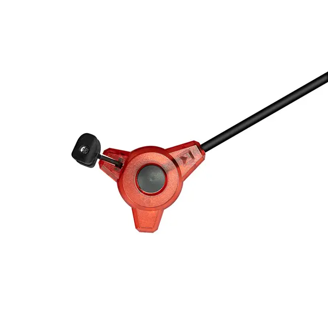 Swinger Delphin Tryo