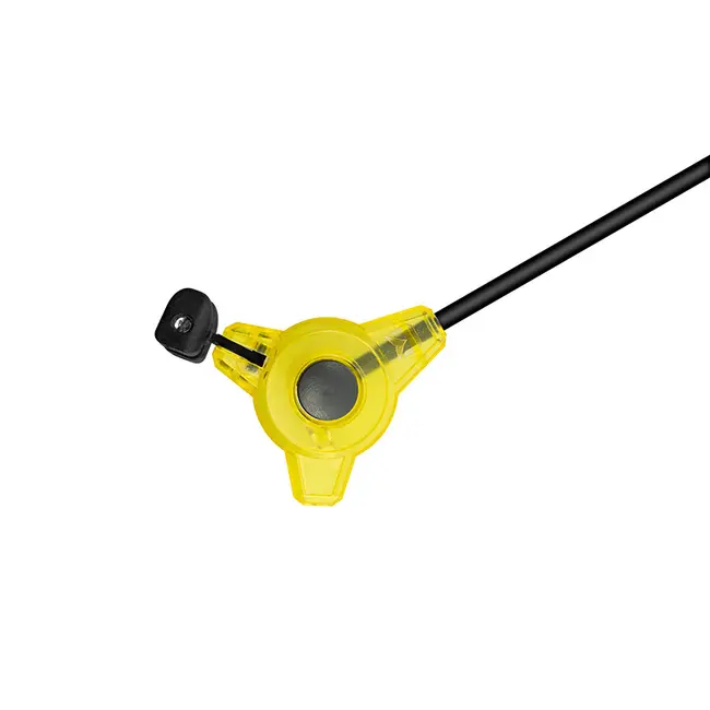 Swinger Delphin Tryo