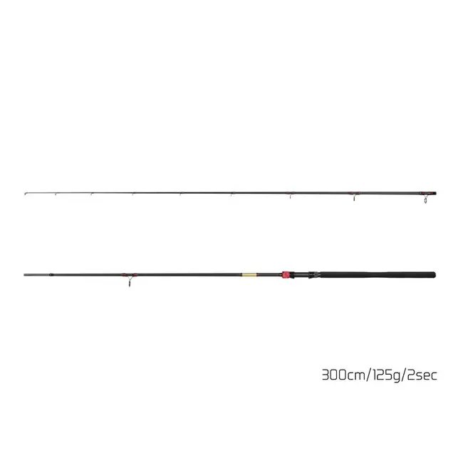 Lanseta Rapitori/Spinning Delphin Murena Power, 3.00m, 125g, 2buc