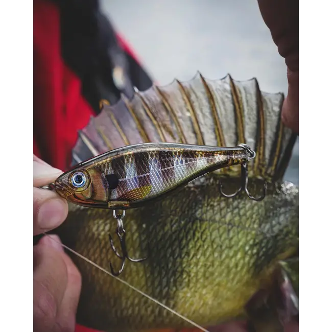 Vobler Rapala X-Rap Twitchin Shad, Culoare Blue Ghost (BGH), 8cm, 13g