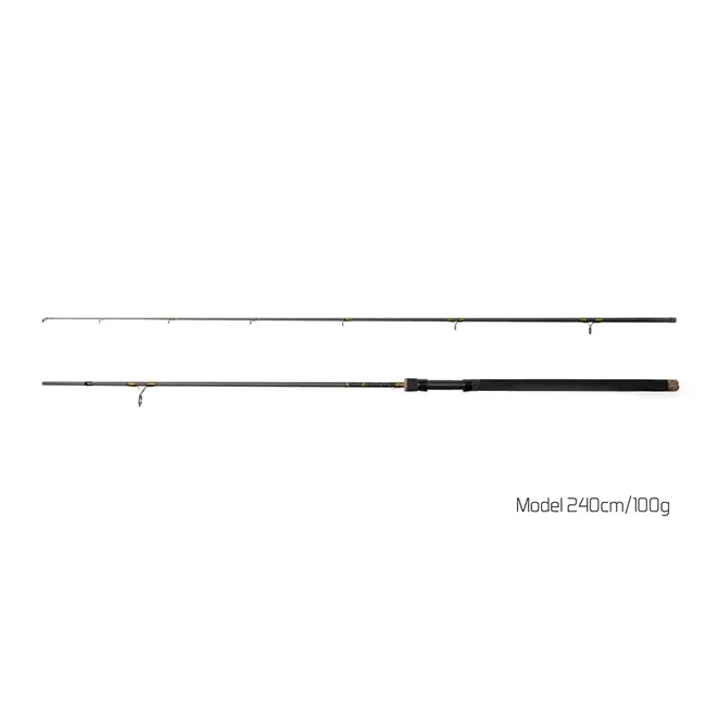 Lanseta Pescuit la Rapitori/Spinning Delphin Murena, 2.10m, 100g, 2buc