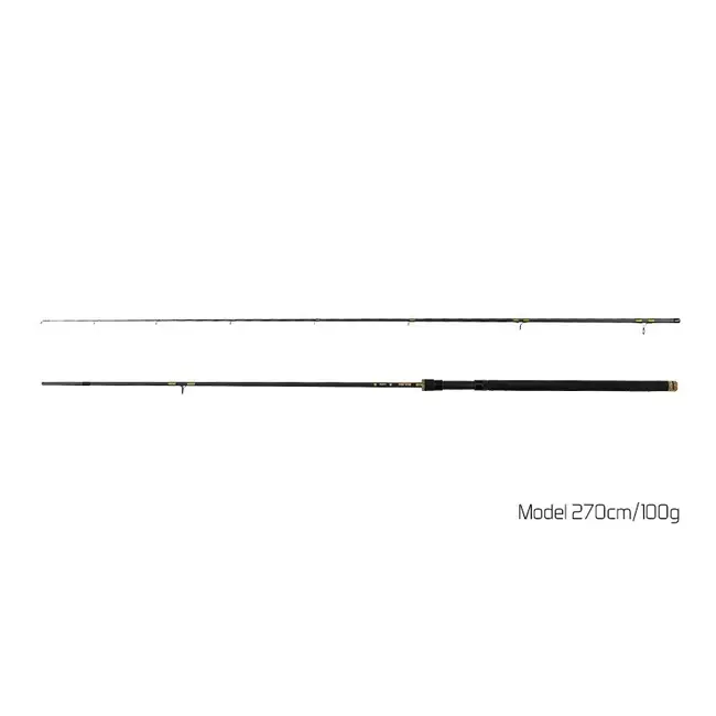 Lanseta Pescuit la Rapitori/Spinning Delphin Murena, 2.10m, 100g, 2buc