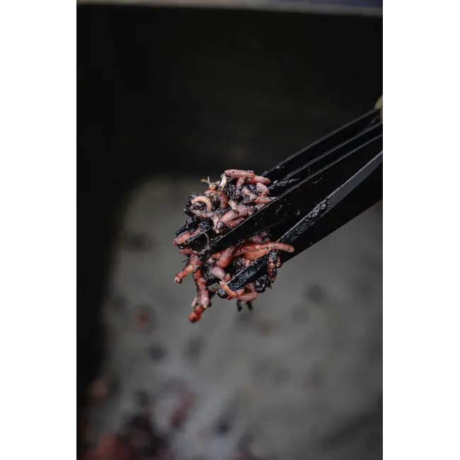 Foarfeca pentru Taiat Rame Avid Worm Chopperz 