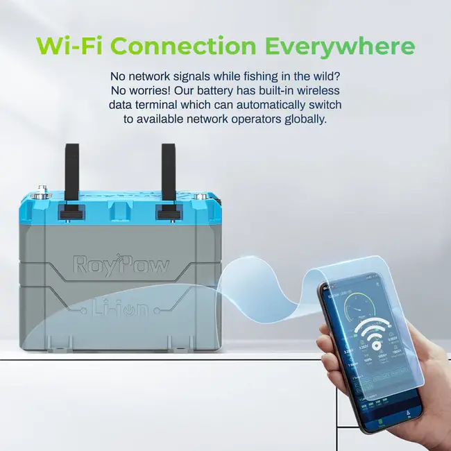 Acumulator,Baterie LifePo4 Roypow 24V 100AH Pentru Motoare-Barci Trolling