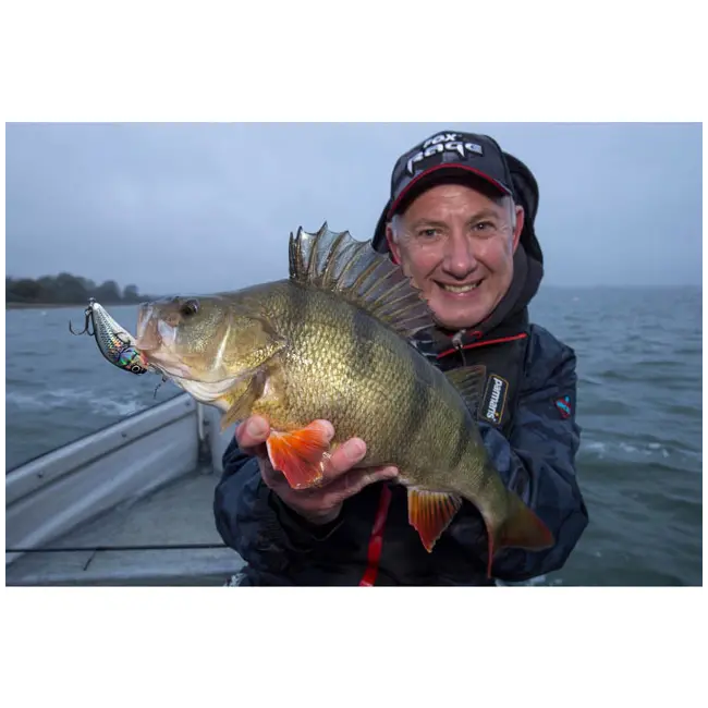 Vobler Salmo Hornet H2S, Real Identity Perch FloatingS,  3.5cm, 2.2g