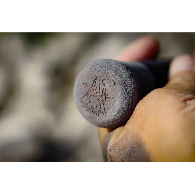 Lanseta Somn Black Cat Black Passion G2 Spin, 2.40m, 50-200g, 2buc