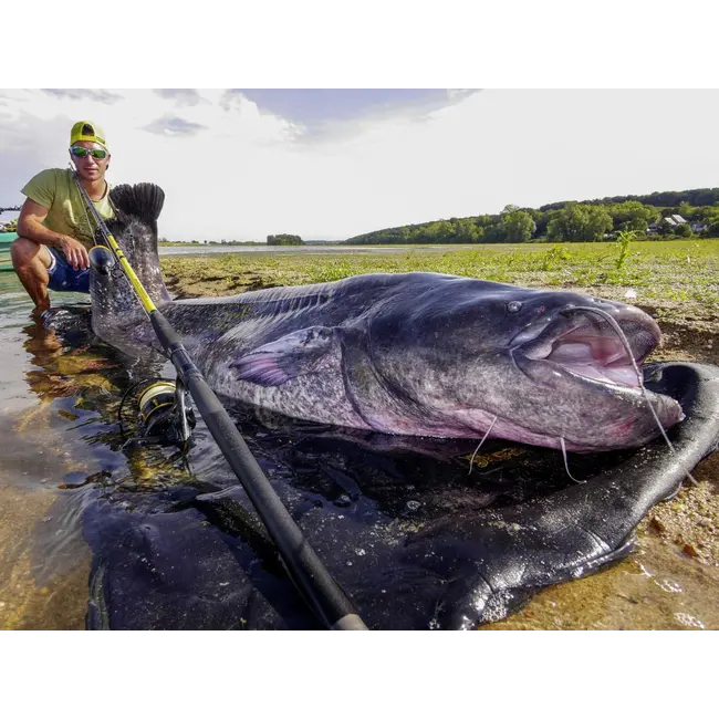 Lanseta Somn Black Cat Black Passion G2 Spin, 2.70m, 50-200g, 2buc