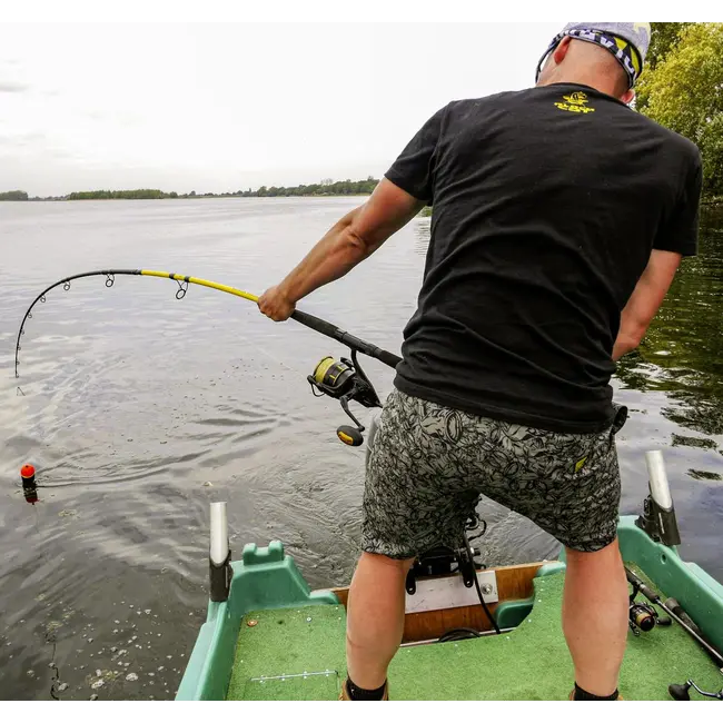 Lanseta Somn Black Cat Black Passion G2 Spin, 2.40m, 50-200g, 2buc