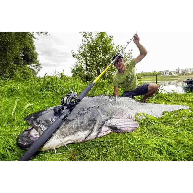 Lanseta Somn Black Cat Black Passion G2 Vertical, 1.80m, 240g, 1buc