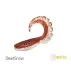 Twister Delphin TWISTA UVs, 8cm, 5buc/plic, Culoare Candy