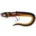 Grub Fox Rage Slick Eel Loaded, UV Hot Olive, Nr.2/0, 35cm