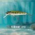 Vobler Salmo Minnow 5 Sinking, 5cm 5g, Freshwater Minnow
