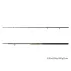 Lanseta Somn Delphin ENERGY Catfish, 3.10m, 250-500g,2buc