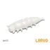 Naluca Viermi Artificiali Delphin LARVO Cheese,15 buc/plic
