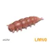 Naluca Viermi Artificiali Delphin LARVO Cheese,15 buc/plic
