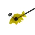 Swinger Delphin Carpy